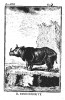 Italian Buffon 1772 Rinoceronte
