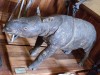 Javan rhino in Canterbury