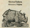 Ammann Thierbuch 1569 Nasshorn