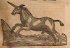 Gesnerus Redividus 1669 Unicorn