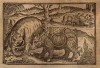 Gesnerus Redividus 1669 Rhino-Elephant Fight