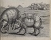 Pomet 1712 Combat with elephant