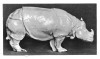 Rhino in white porcellain 1777