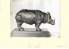 Rhino in bronze