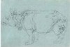 Ridinger Indian Rhino drawing