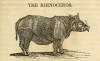 Trimmer 1845 Rhinoceros