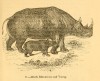 Knight 1849 Black Rhino
