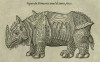 Pare 1614 Rhino armed with all pieces