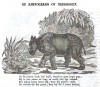 Sandwijck 1854 Dieren-wereld