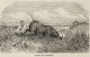 Hunter and rhino 1862