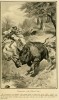 Hunting black rhino 1909
