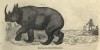 Encyclopedia of animated nature 1856 Hunting