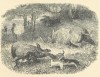Baldwin 1863 Baby hunt