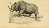 Griffith 1827 Indian Rhino