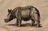 Schroeder 1748 Parsons Rhino