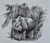 Javan rhino in forest