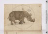 Lisbon rhino 1515 precursor of Penni