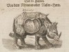 Valentini 1704 Rhinocer