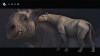 Paraceratherium (reconstruction)