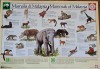 Mammals of Malaysia
