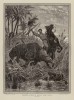 Rhino attacking horse rider