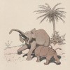 Rabier 1924 Elephant fight