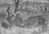 Rhino attacking a horse