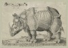 Vico 1548 Lisbon rhino