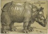 Durer 1515 late copy by Janssen