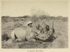 Ghika 1898 Somalis - first rhino