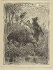 Chasse Illustree 1897 Rhino attacks hunter on horse