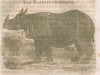 Reubelt 1848 Nashorn