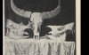 Otto 1903 Sumatra rhino skulls