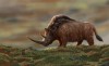 A woolly rhino meets two young marmots (by Paleo Pete Peter Nickolaus)