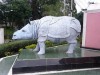 Rhino Museum Shillong