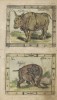 Kurze Naturgeschichte 1789 Nashorn