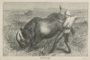 Falkenhorst 1793 Rhinocerosjagd