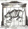 Rabid Rhino 1874