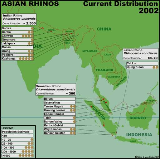 Asian Rhino Map